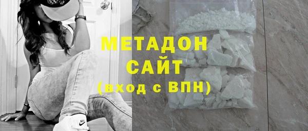 индика Алексин