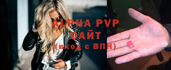 индика Алексин