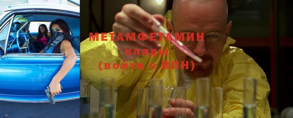 индика Алексин