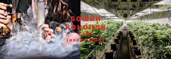 PSILOCYBIN Алзамай
