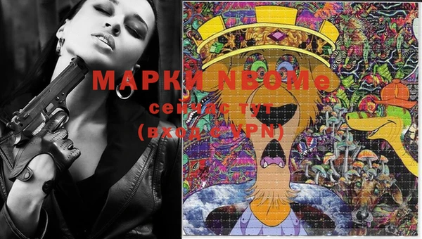 индика Алексин