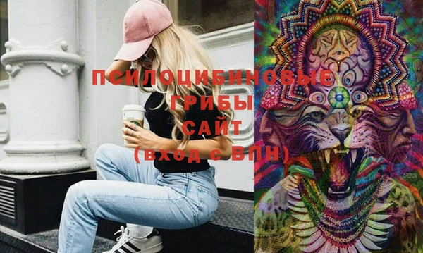 круглые Алексеевка