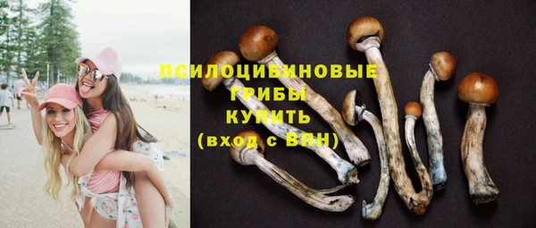 круглые Алексеевка
