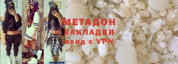 индика Алексин