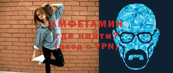 индика Алексин