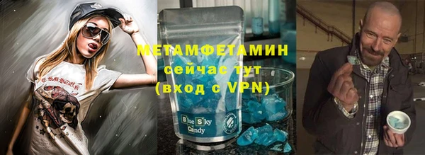 индика Алексин